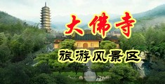 乡村叉穴中国浙江-新昌大佛寺旅游风景区